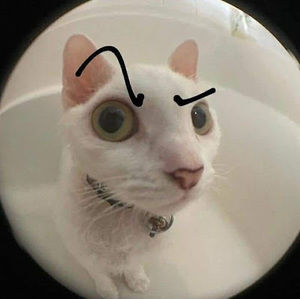 Meet your Posher, Chloe